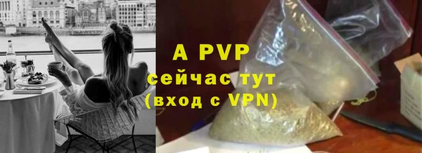 трава Арсеньев