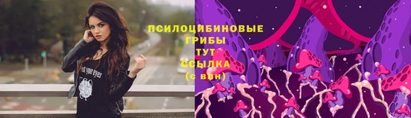 гашик Армянск