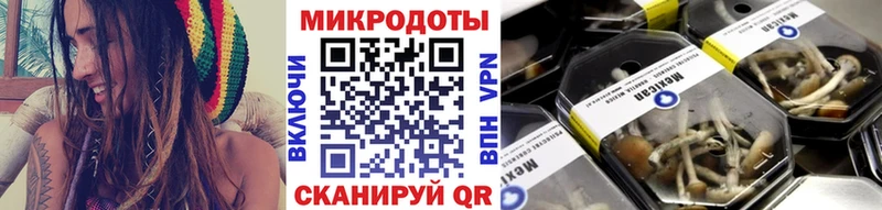 где купить наркотик Орлов Псилоцибиновые грибы прущие грибы
